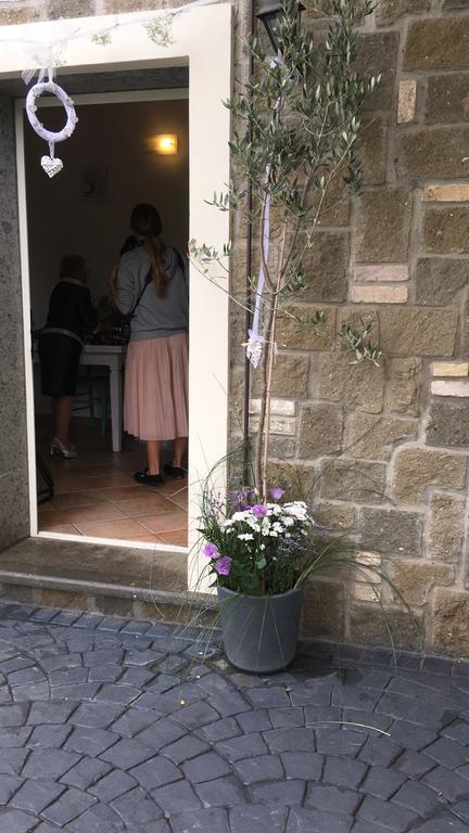Il Poggio Degli Ulivi Apartment เตรวินญาโน โรมาโน ภายนอก รูปภาพ
